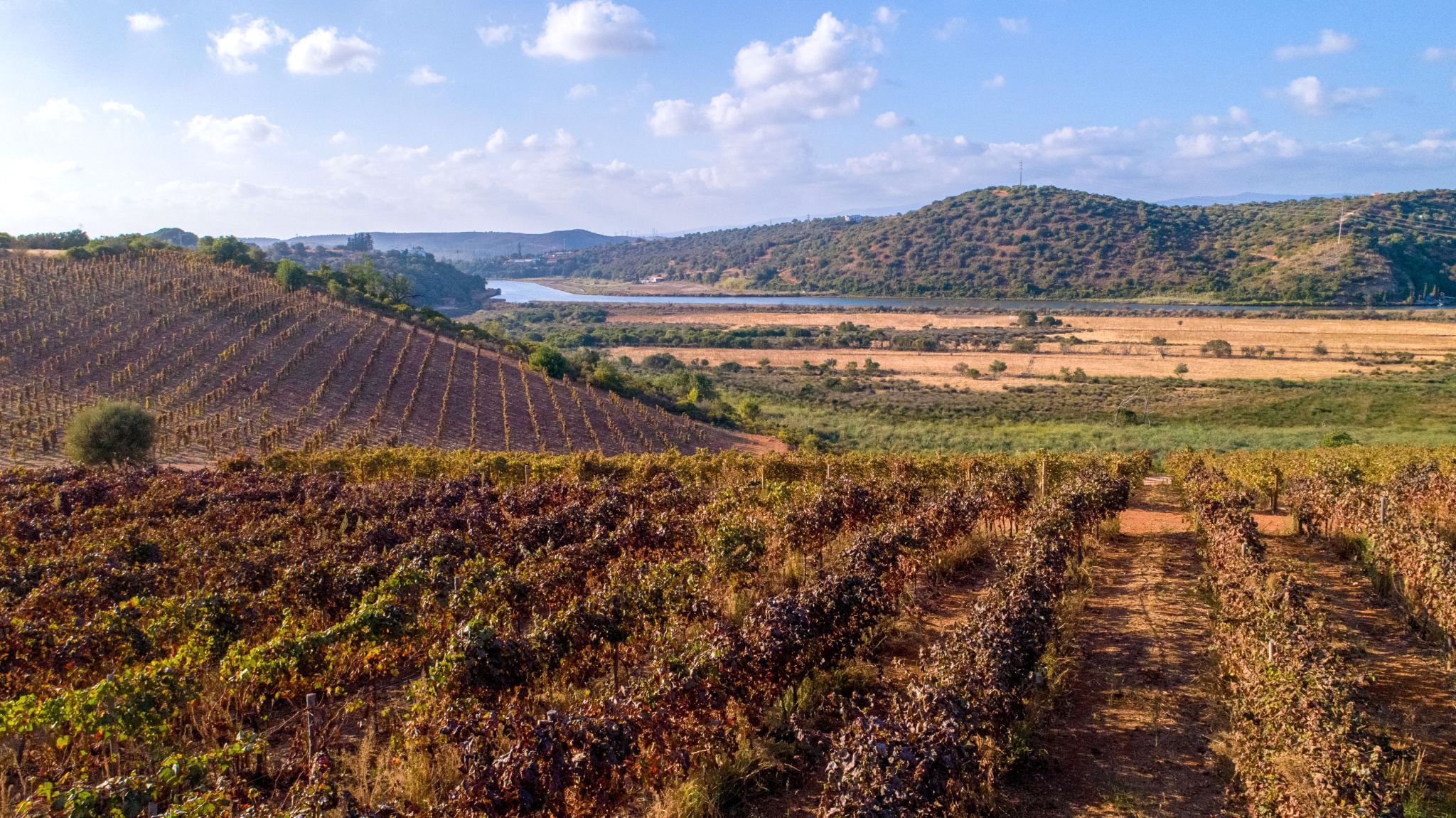 Algarve brings nature and wine tourism to Expovacaciones in Bilbao