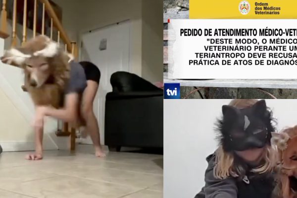 Order of Veterinarians guarantees that there is no record of Therians in Portuguese clinics… but warns