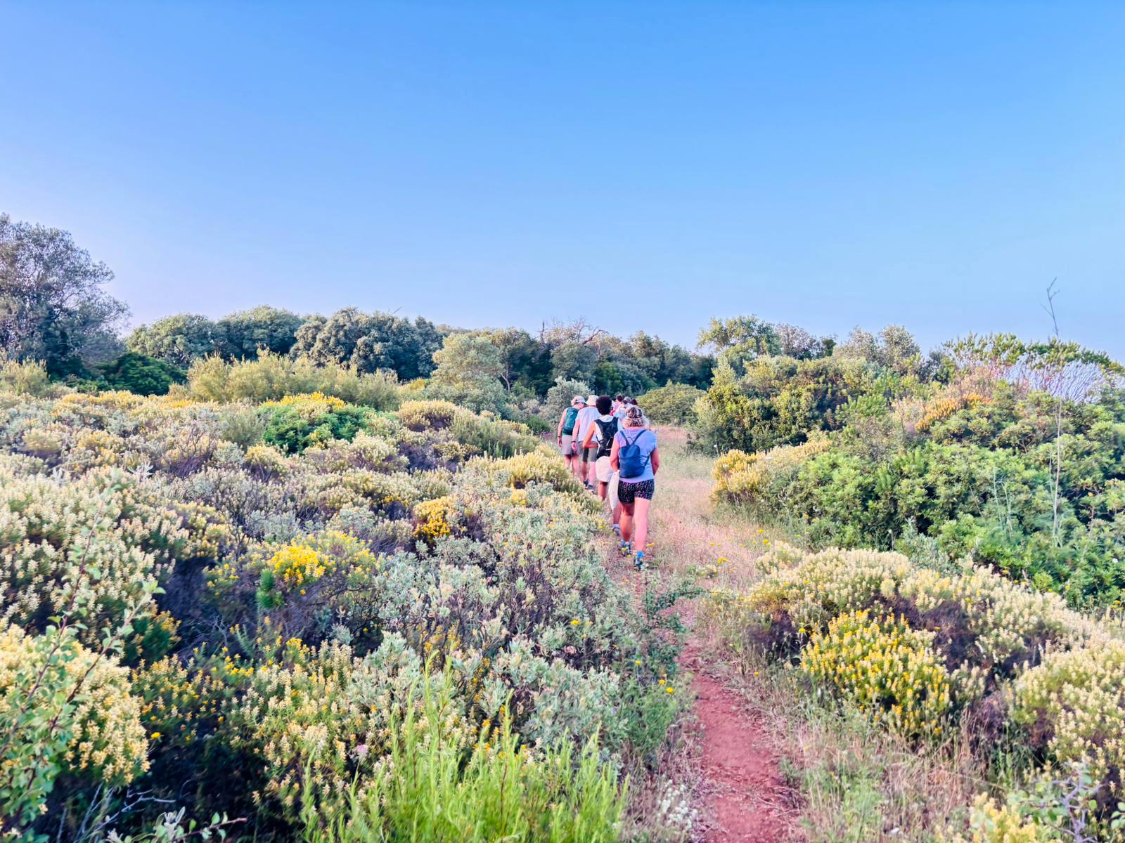 Walking tour in Alte marks UNESCO Geopark with route to Rocha dos Soídos