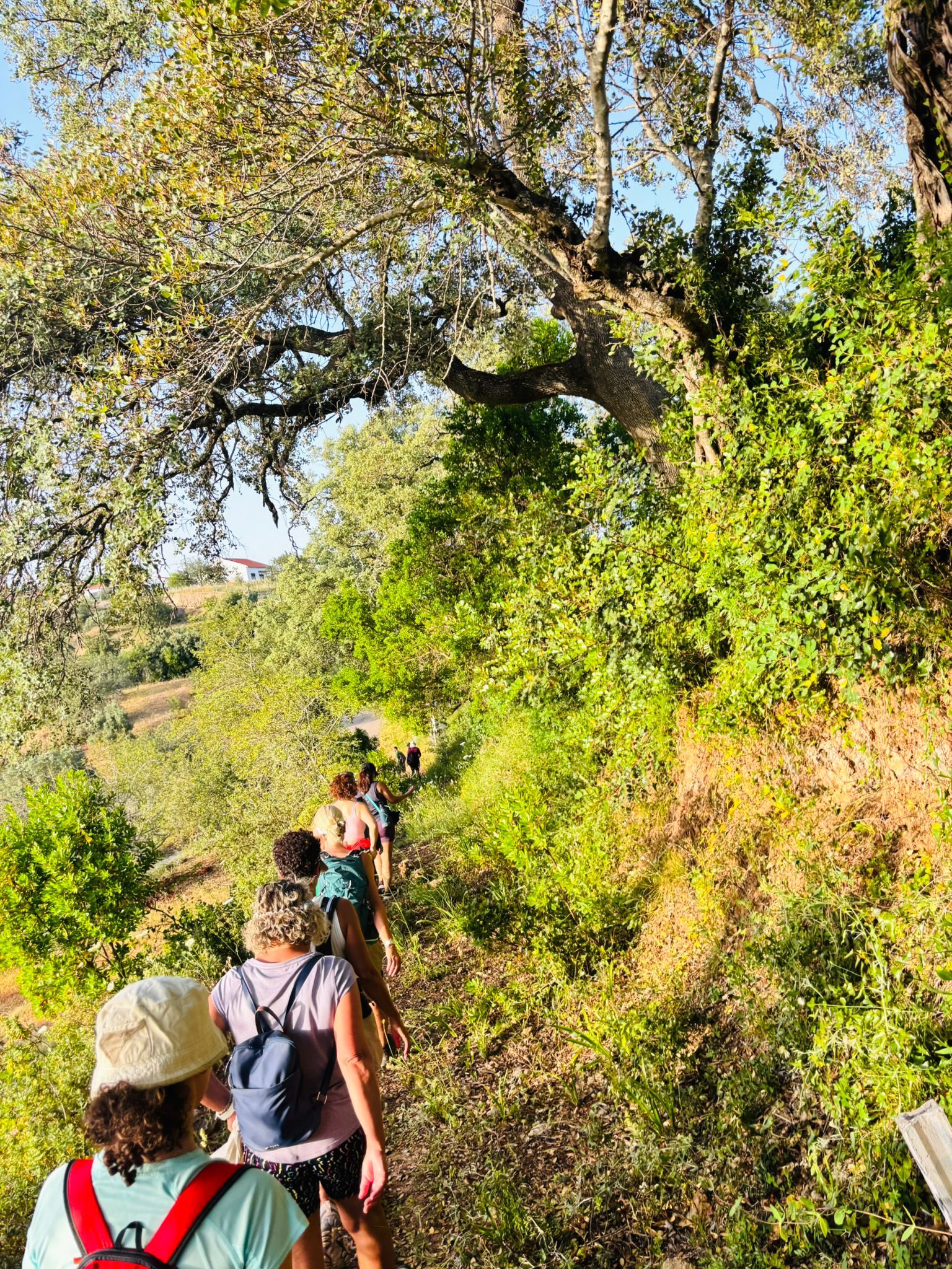 Walking tour in Alte marks UNESCO Geopark with route to Rocha dos Soídos