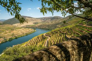 Have you been there? This is the fourth most beautiful place in the world and is in Portugal