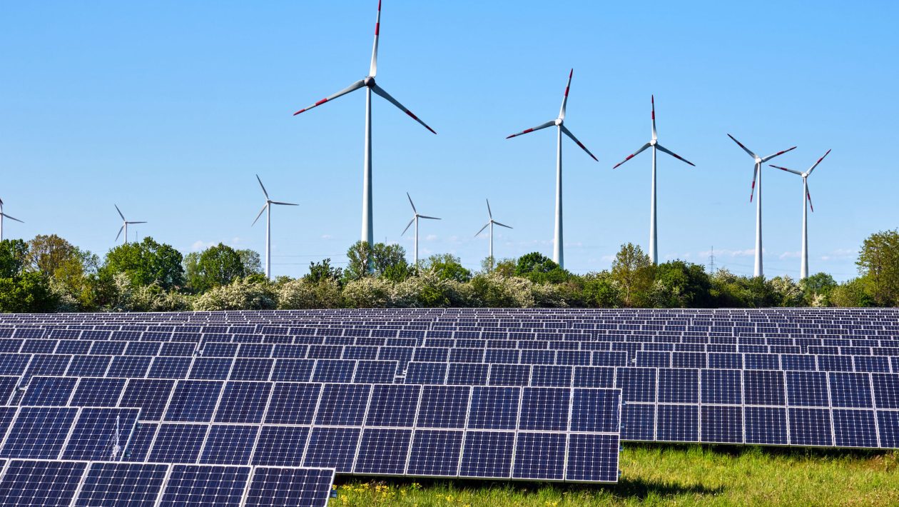 World Energy Day: 45 years of transformation and resilience | By Cláudio Casimiro