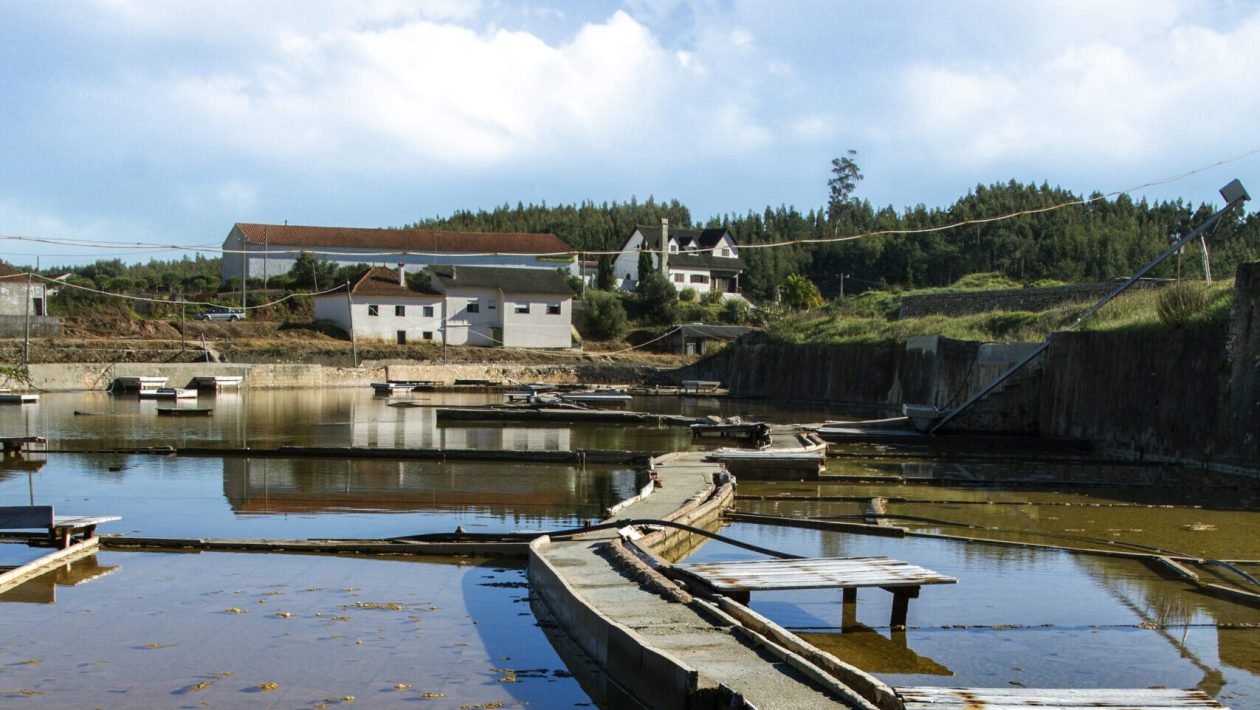 Salinas de Rio Maior.