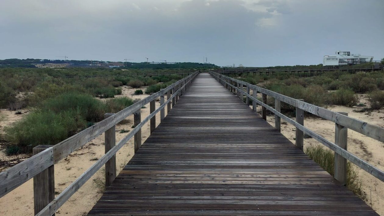 Passadiços de Altura.