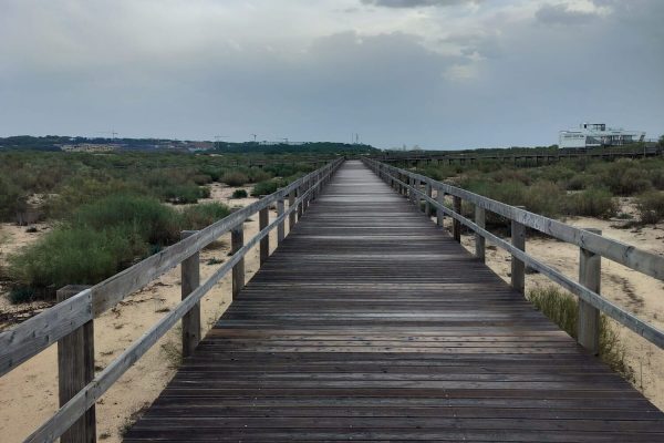 Passadiços de Altura.