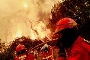 Forest areas with high fire risk remain without video surveillance cameras