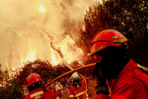 Forest areas with high fire risk remain without video surveillance cameras