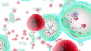 Stem cells kept severe autoimmune disease in remission for 15 years