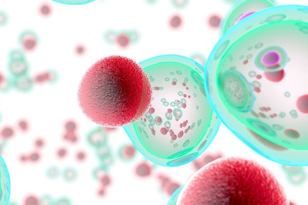 Stem cells kept severe autoimmune disease in remission for 15 years