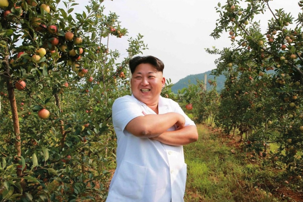 Does North Korea have the most surprising economic success story in the world?