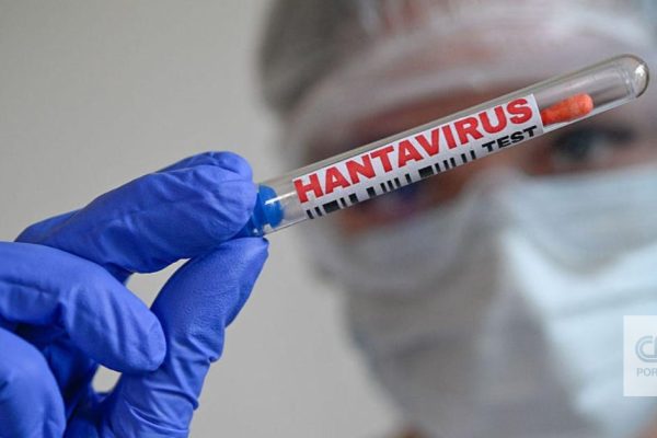 The first positive case of hantavirus in Spain has already been discharged