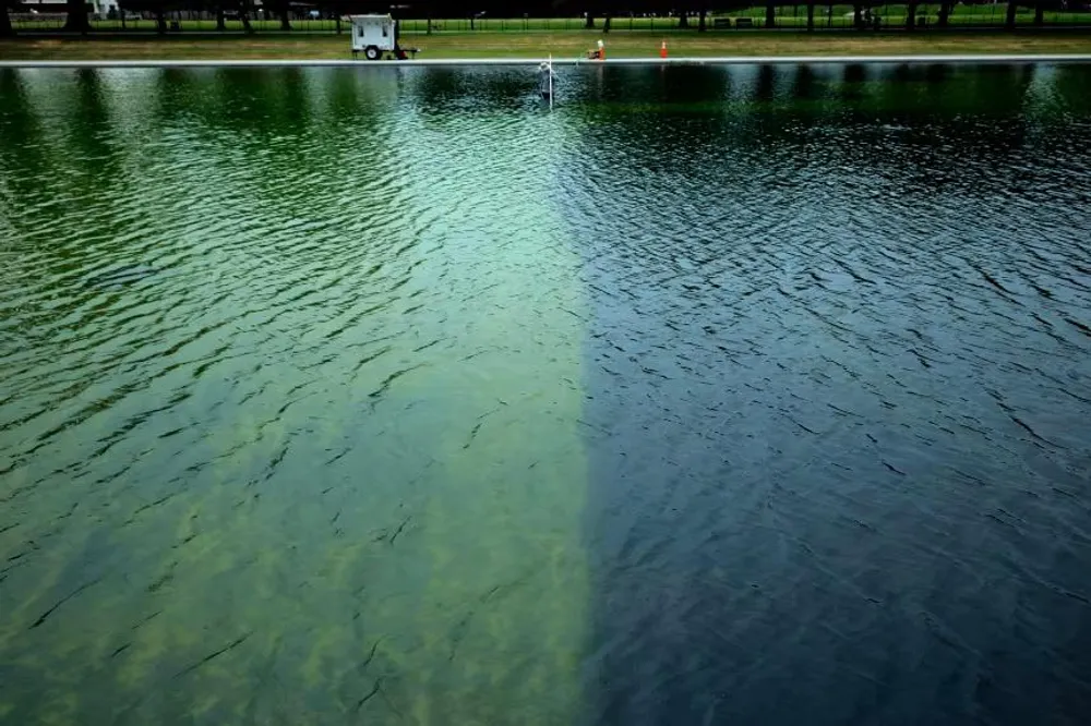 Several million later, there is algae, loose paint and Trump talks about "real problems with vandalism": how is the controversial work at Lincoln's reflecting pool going