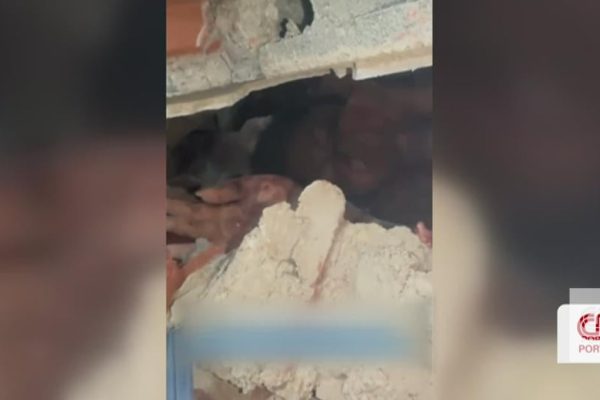 "I can't take it anymore! God gives me strength": woman is pulled alive from the rubble of a building that collapsed in Venezuela