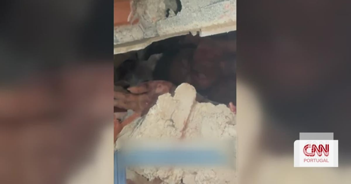 "I can't take it anymore! God gives me strength": woman is pulled alive from the rubble of a building that collapsed in Venezuela