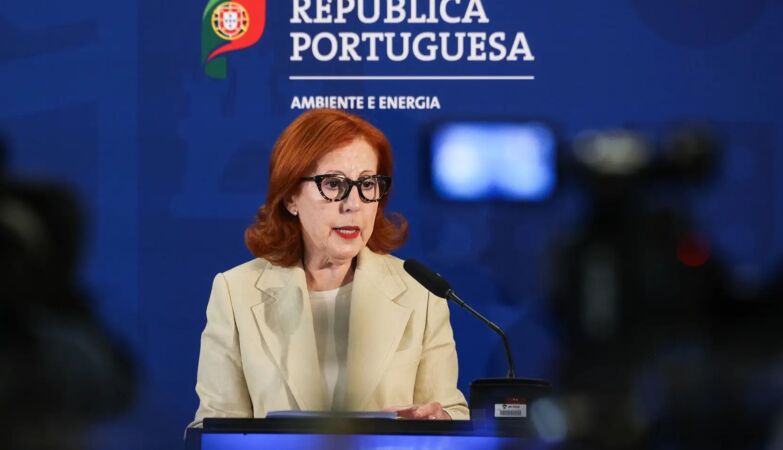 Government moves forward with battery auction. What changes?