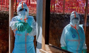 Ebola: Suspected case also in Italy - WHO recommendations