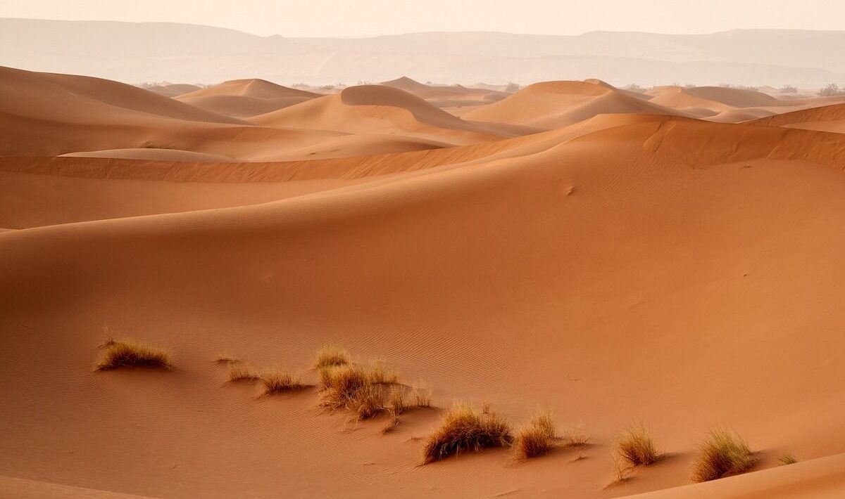 Forty-nine Nigeriens die of thirst in the desert after truck breaks down