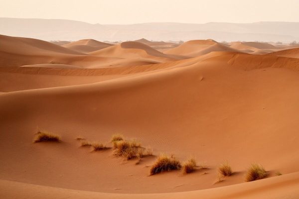 Forty-nine Nigeriens die of thirst in the desert after truck breaks down