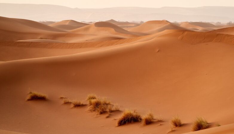 Forty-nine Nigeriens die of thirst in the desert after truck breaks down