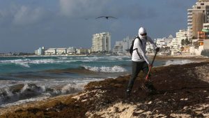 Mexico instead of Miami: Cubans flee south after Trump's return