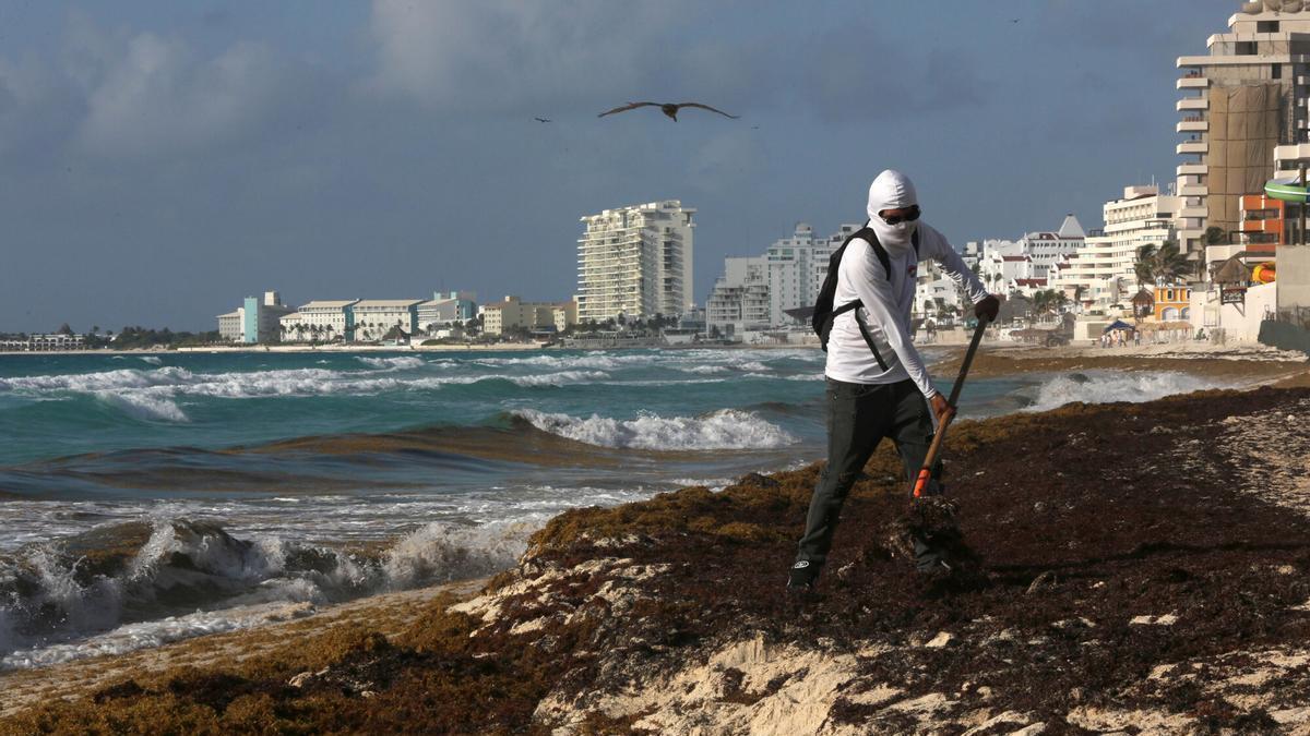 Mexico instead of Miami: Cubans flee south after Trump's return