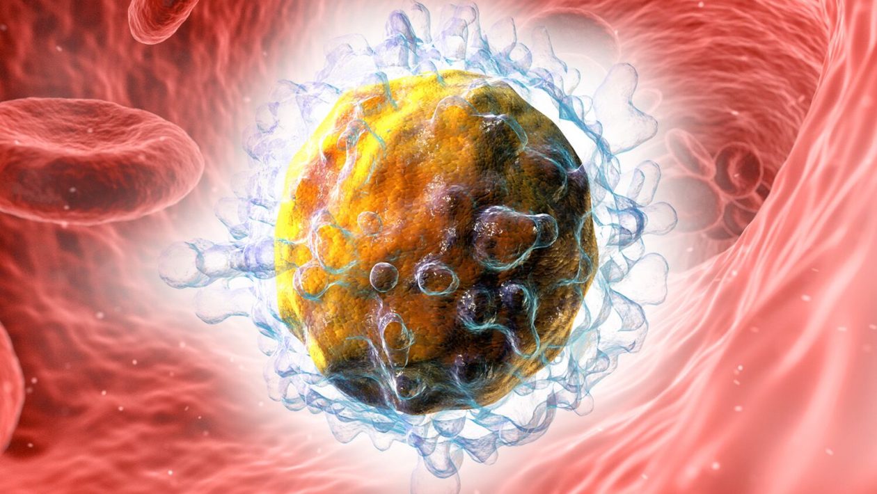 “Helper” immune cells may attack the trick used by cancer to hide