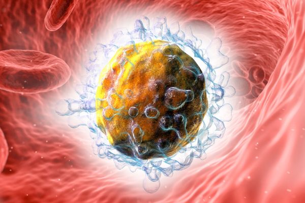 “Helper” immune cells may attack the trick used by cancer to hide