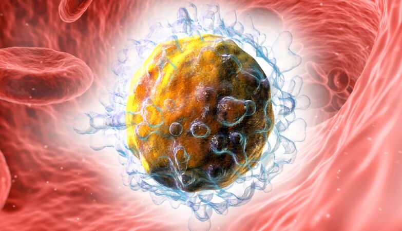 “Helper” immune cells may attack the trick used by cancer to hide