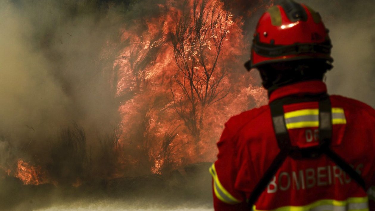 Portugal is not complying with the fire management reform planned in 2017