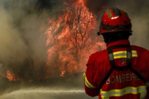 Portugal is not complying with the fire management reform planned in 2017