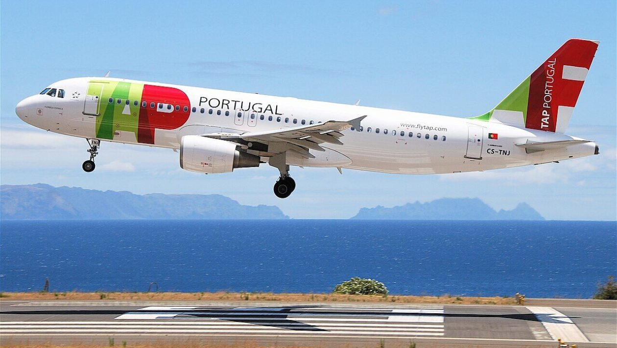 Defective fake parts, a pirate who studied, a former DJ. And 6.6 million who flew with TAP
