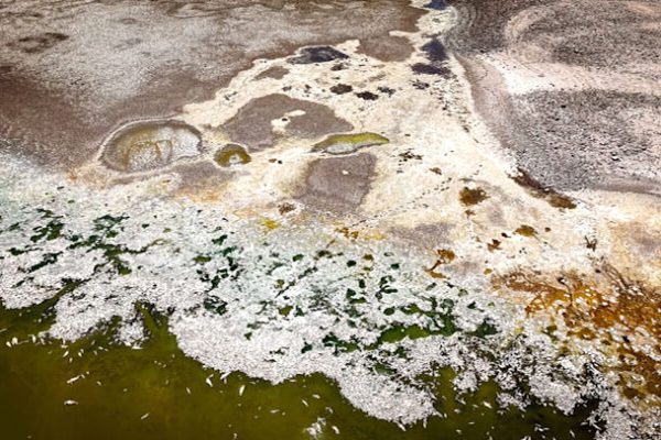 The fish in a lake all died overnight. Science seeks explanation