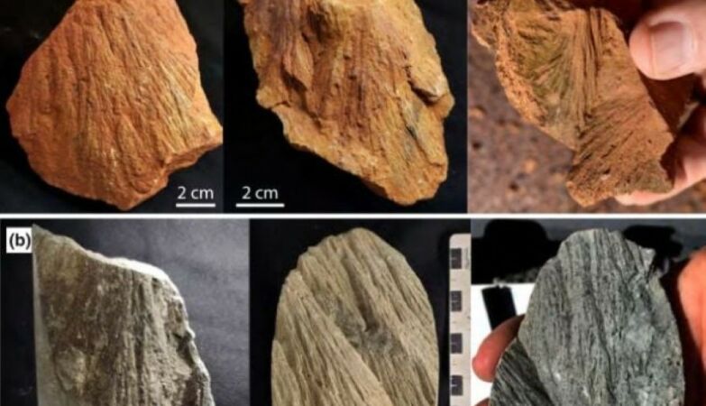 Geologists went looking for gold, but found something much rarer