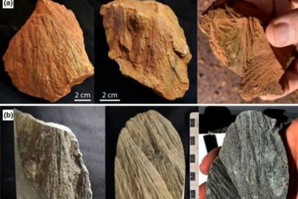 Geologists went looking for gold, but found something much rarer