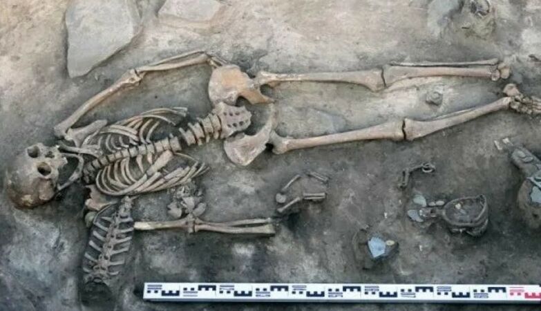 Horse skin found with wife and baby of 10th century elite in rare burial in Siberia