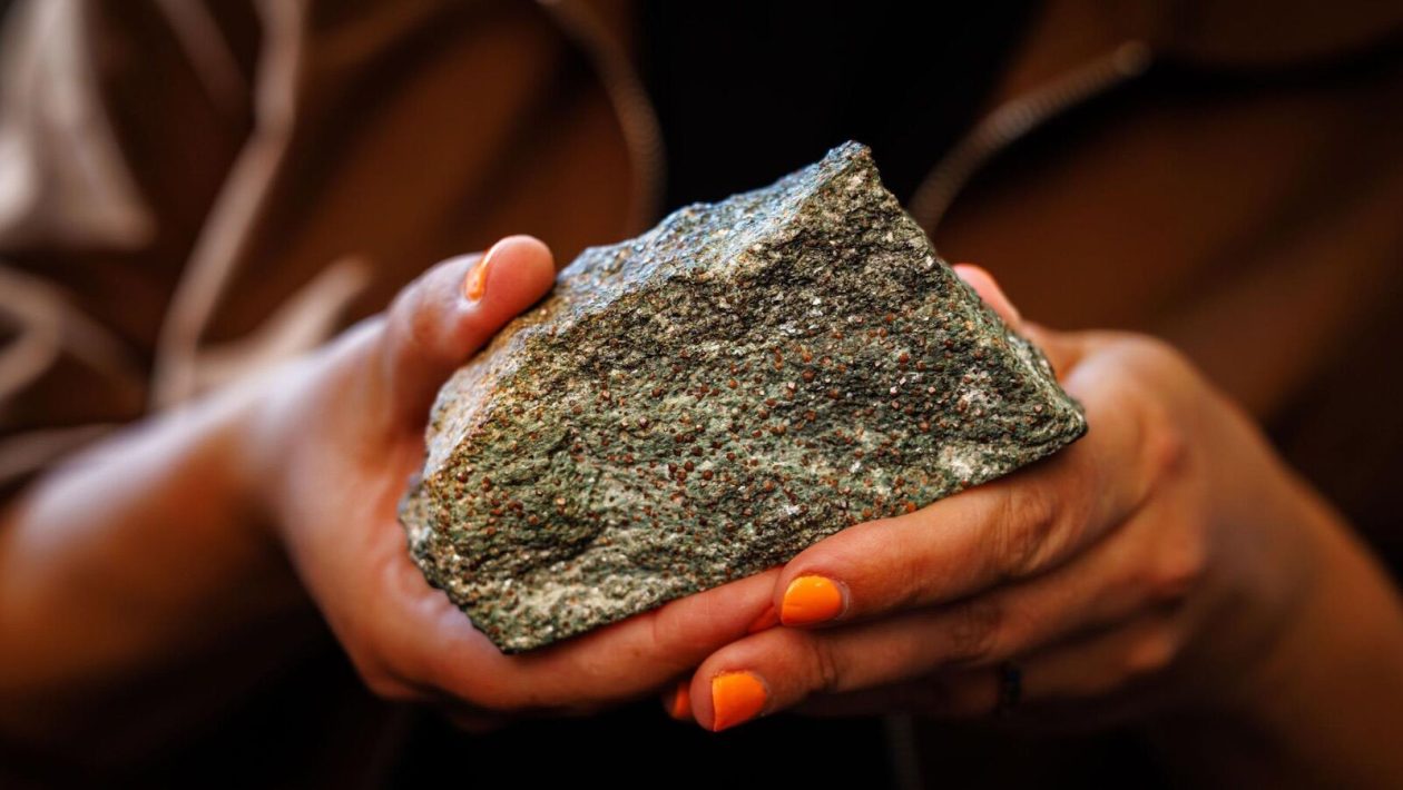 Scientists opened a meteorite from Mars and got a big surprise