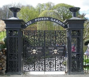 The Poison Garden has much more than the most poisonous plant in the world