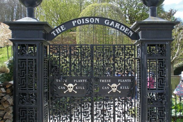 The Poison Garden has much more than the most poisonous plant in the world
