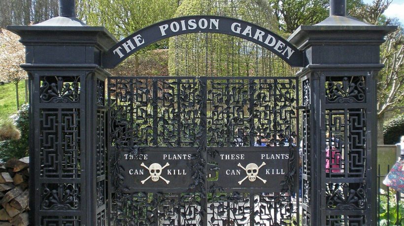 The Poison Garden has much more than the most poisonous plant in the world