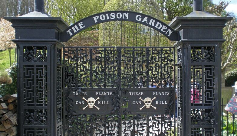The Poison Garden has much more than the most poisonous plant in the world