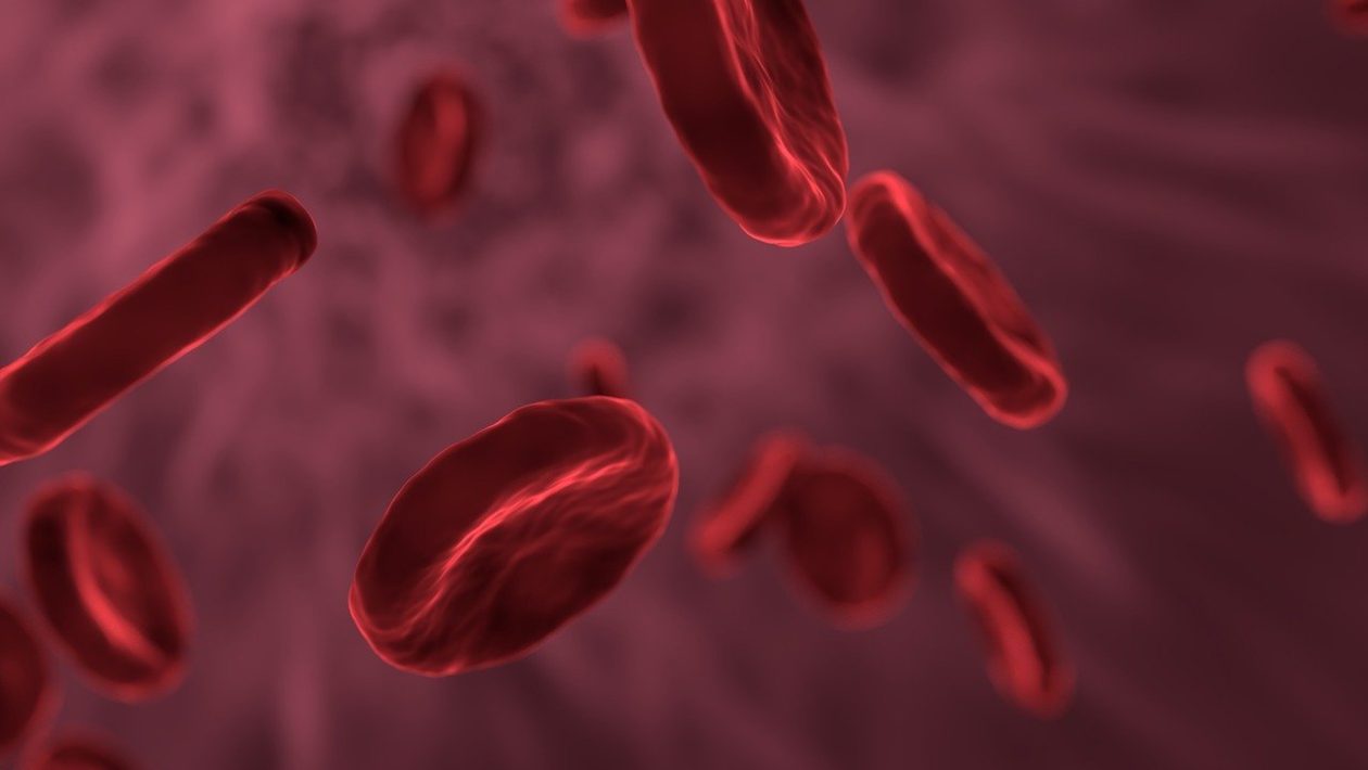 Stress can change the structure of the blood