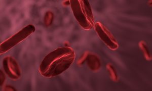Stress can change the structure of the blood