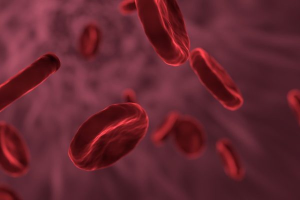 Stress can change the structure of the blood