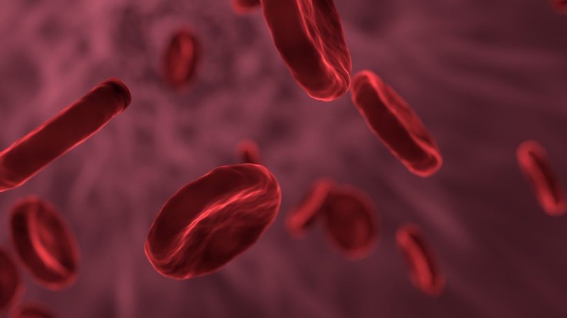 Stress can change the structure of the blood