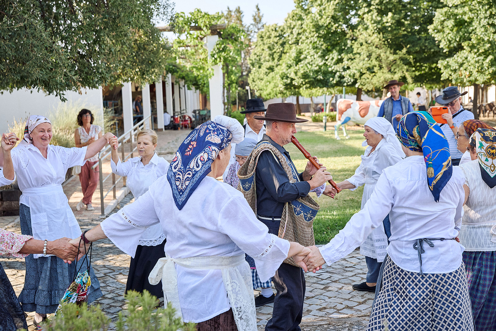 Turismo do Algarve distinguishes the best cultural and creative experiences in the region