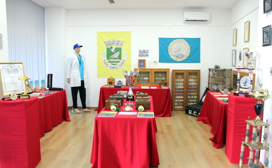 Olhão marks the 75th anniversary of the Pigeon Racing Society with exhibition and tributes
