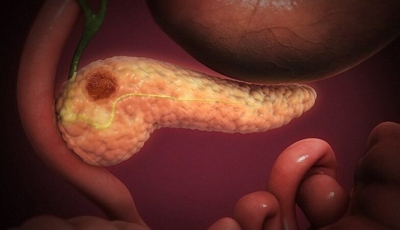 Double “revolution” in the fight against cancer. Oncologists cried