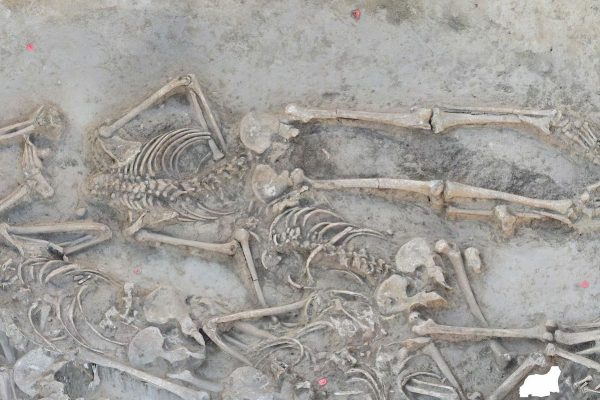 Massacre or ritual? Vráble ditch had 77 decapitated skeletons (except that of a child)