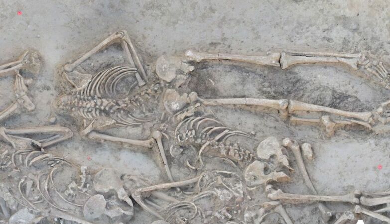 Massacre or ritual? Vráble ditch had 77 decapitated skeletons (except that of a child)