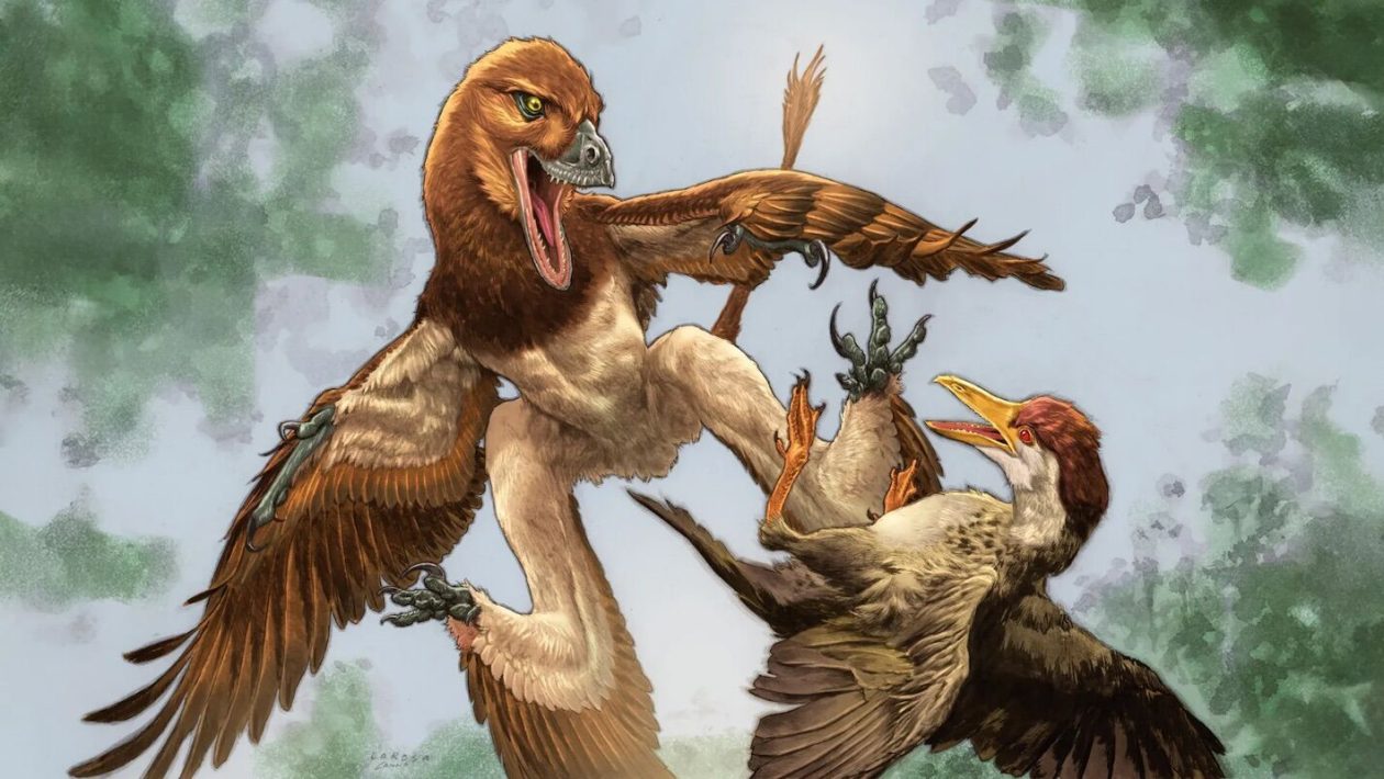 Dinosaur with four wings was the terror of Earth's first birds